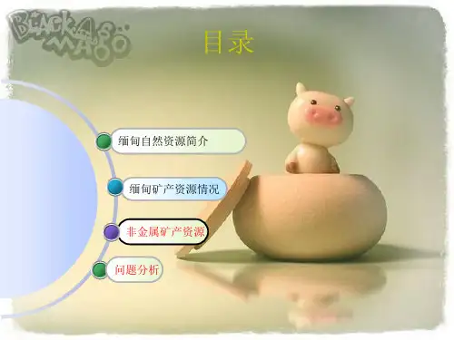 缅甸矿产资源分布情况