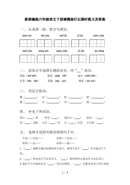 新部编版六年级语文下册骑鹅旅行记课时练习及答案