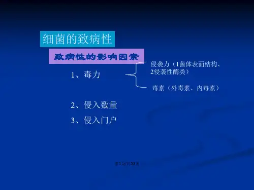 细菌的致病性与感染