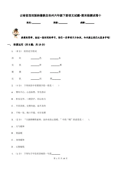 云南省西双版纳傣族自治州六年级下册语文试题-期末检测试卷十