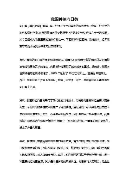 我国种植向日葵