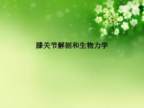 膝关节解剖和生物力学 (2)优秀课件