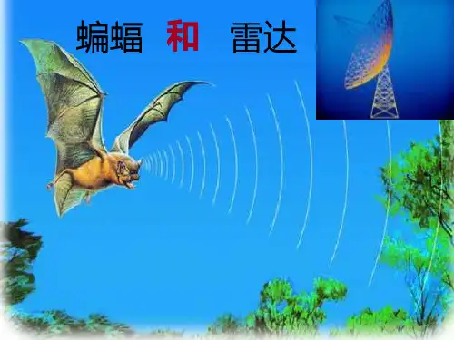 四年级下册语文课件-11蝙蝠和雷达_人教新课标(共17张PPT)