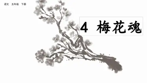 人教部编版五年级语文下册第4课《梅花魂》优秀课件
