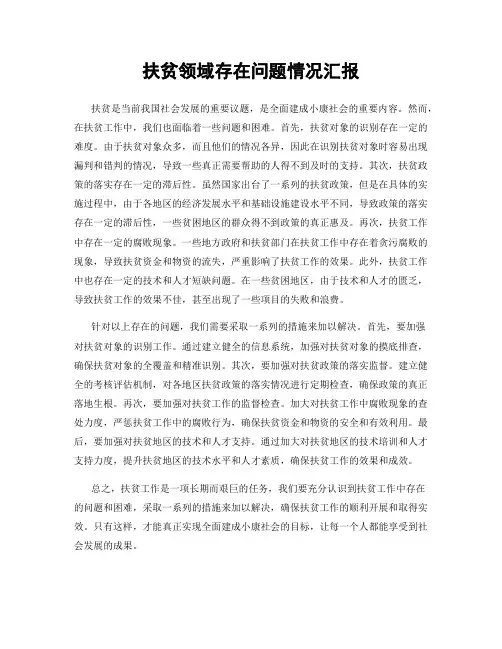 扶贫领域存在问题情况汇报