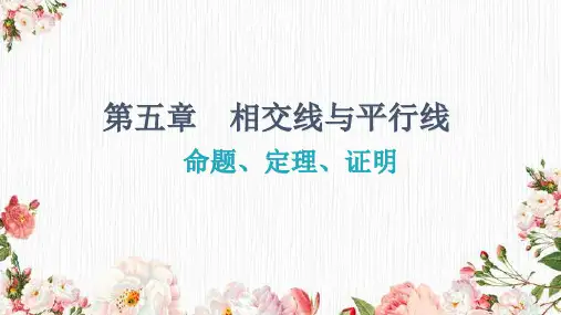 人教版七年级数学下册课件： 命题、定理、证明