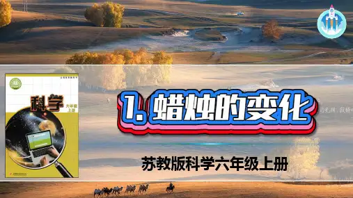 苏教版科学六年级上册1蜡烛的变化PPT