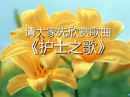 【新整理】护士的素质及行为规范ppt课件