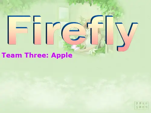 Firefly歌词(中英文对照)