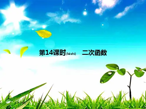 中考数学复习 第一部分 数与代数 第十四课时 二次函数数学课件