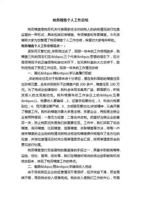 税务稽查个人工作总结