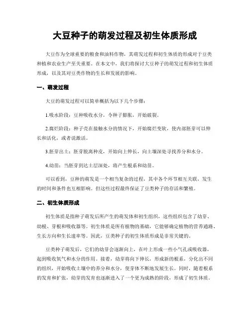 大豆种子的萌发过程及初生体质形成