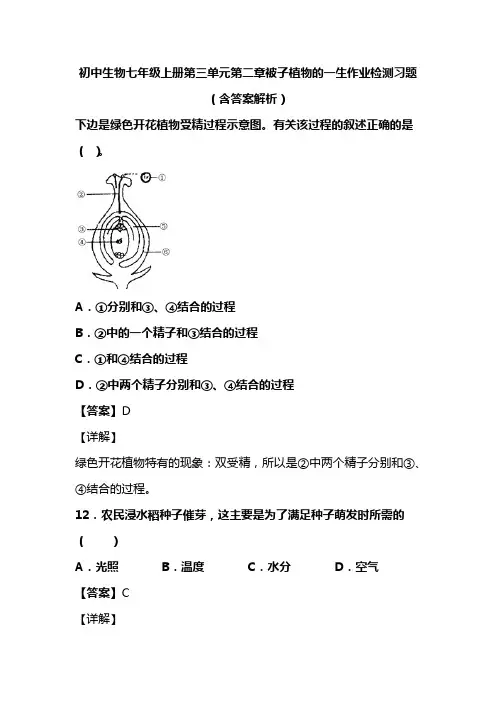 初中生物七年级上册第三单元第二章被子植物的一生作业检测习题(含答案解析)(23)