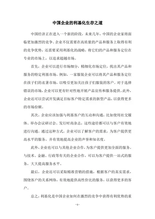 中国企业的利基化生存之道