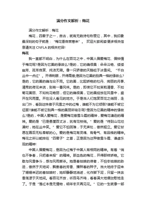 满分作文解析：梅花