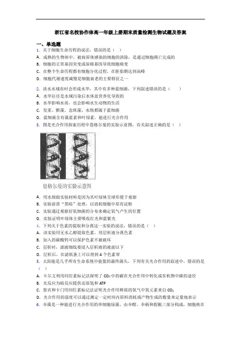 浙江省名校协作体高一年级上册期末质量检测生物试题及答案
