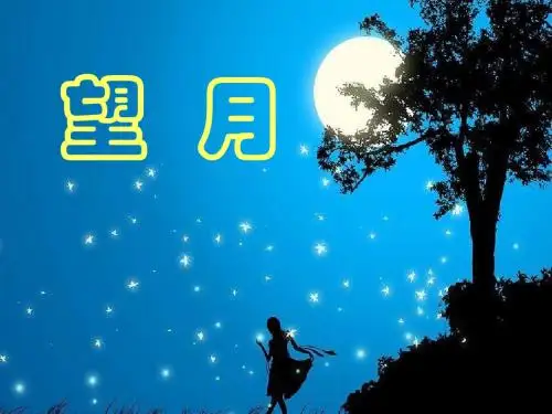 《望月》PPT(上课用)