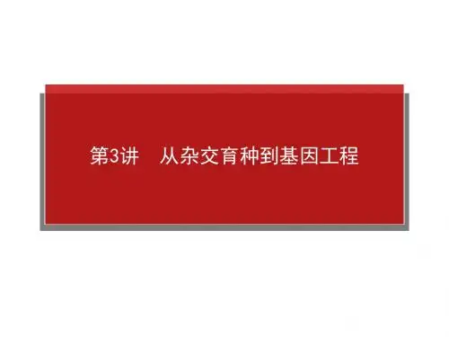 高考生物一轮复习课件：2.4.3从杂交育种到基因工程