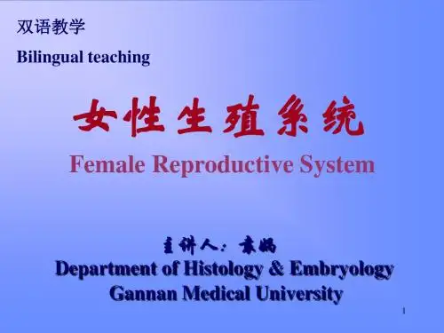 女性生殖系统ppt课件