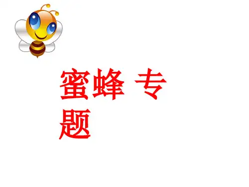 人教版高三复习生物必修二课件：第1章 蜜蜂专题 (共12张PPT)
