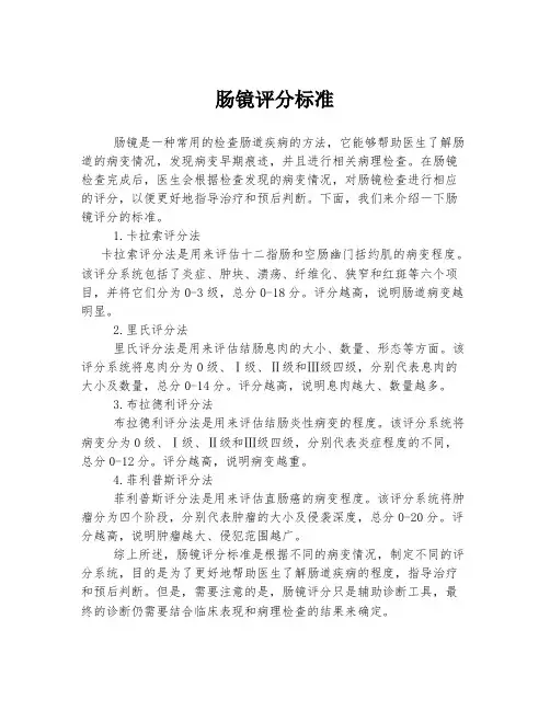 肠镜评分标准