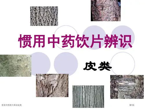 常用中药饮片辨识皮类专家讲座