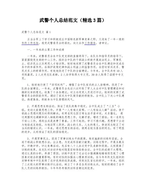 武警个人总结范文(精选3篇)