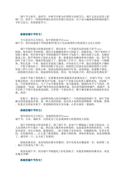 热闹的端午节作文精选10篇
