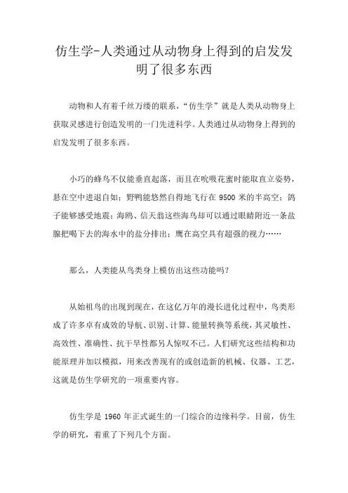 仿生学-人类通过从动物身上得到的启发发明了很多东西