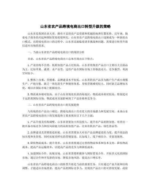 山东省农产品跨境电商出口转型升级的策略