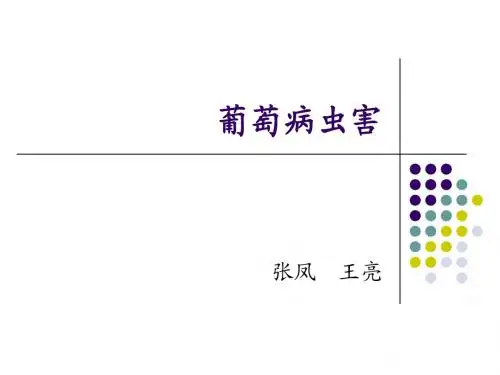 葡萄病虫害