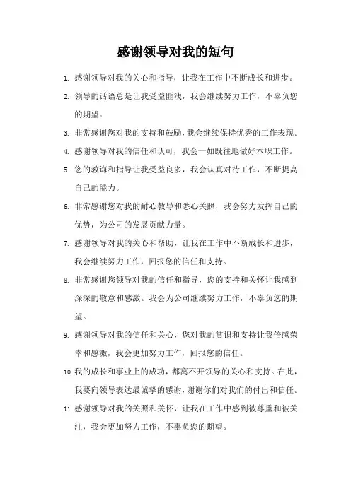 感谢领导对我的