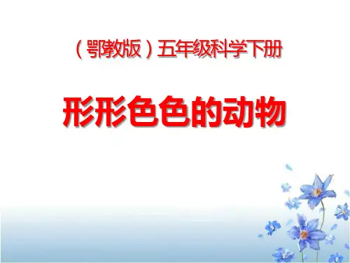 鄂教版五年级科学下册 (形形色色的动物)新课件教学
