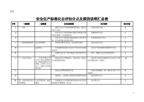 三级安全生产标准化自评扣分点情况表
