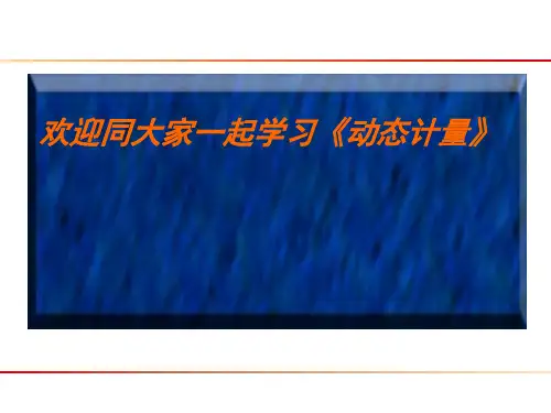 动态计量