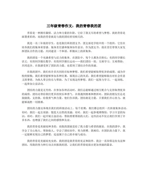 三年级青春作文：我的青春我的团
