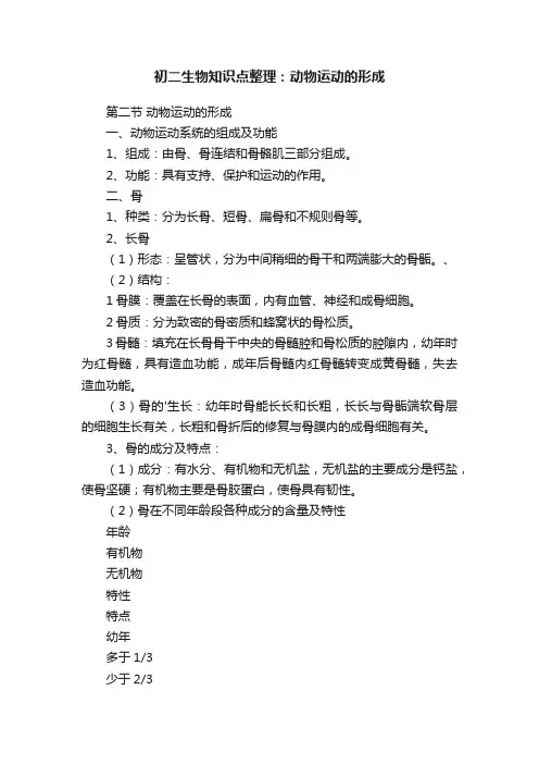 初二生物知识点整理：动物运动的形成