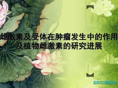 雌激素与雌激素受体简介