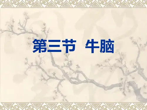 动物解剖学神经系详解