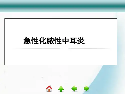 耳部疾病ppt课件