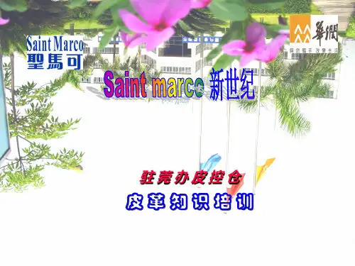 皮 革 知 识 培 训