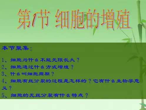 经典课件细胞的增殖(共49张PPT)