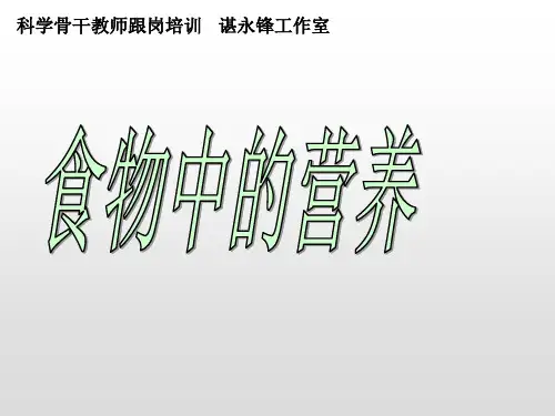 四年级上科学优秀课件-2.2制作植物标本    人教版 (26页PPT)