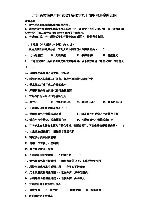 广东省黄埔区广附2024届化学九上期中检测模拟试题含答案解析