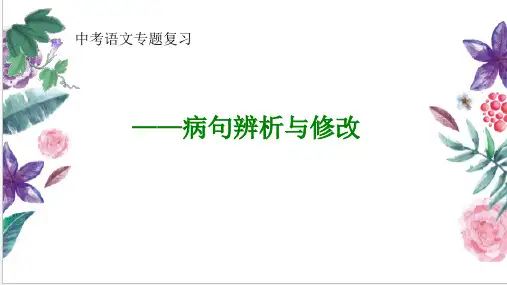 中考语文专题复习《病句辨析与修改》课件