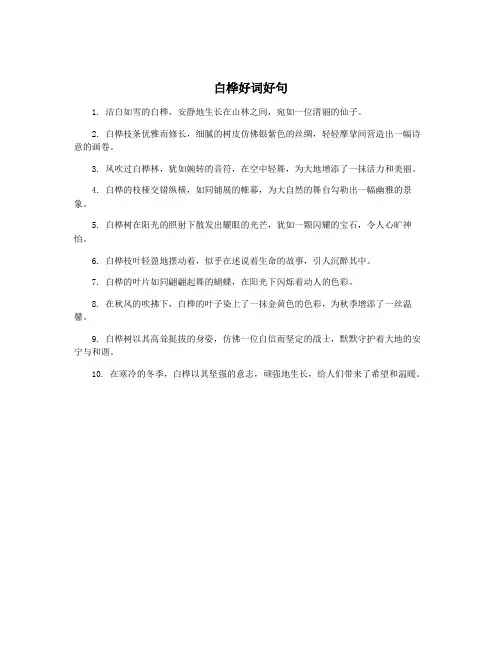 白桦好词好句