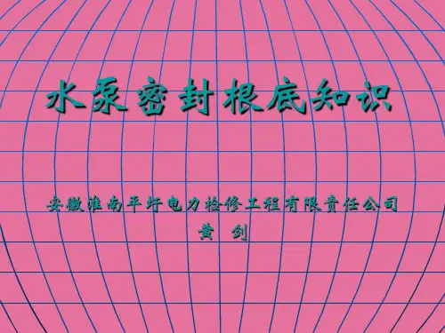 水泵密封基础知识ppt课件