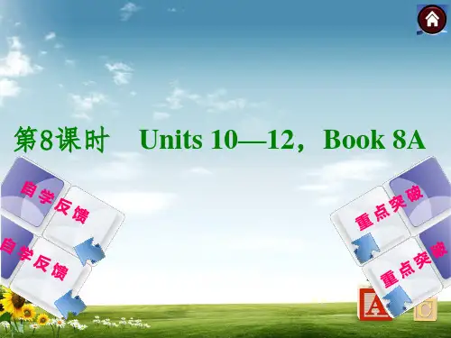人教版中考英语教材复习课件第8课时(Units10-12,Book8A)(21页)PPT课件