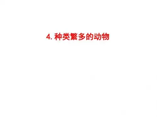 六年级上册科学课件-4-4种类繁多的动物 教科版(共22张PPT)
