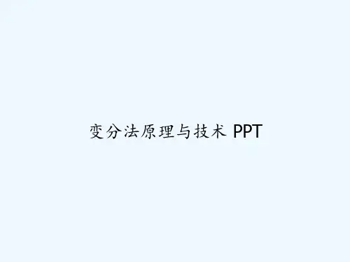 变分法原理与技术 PPT